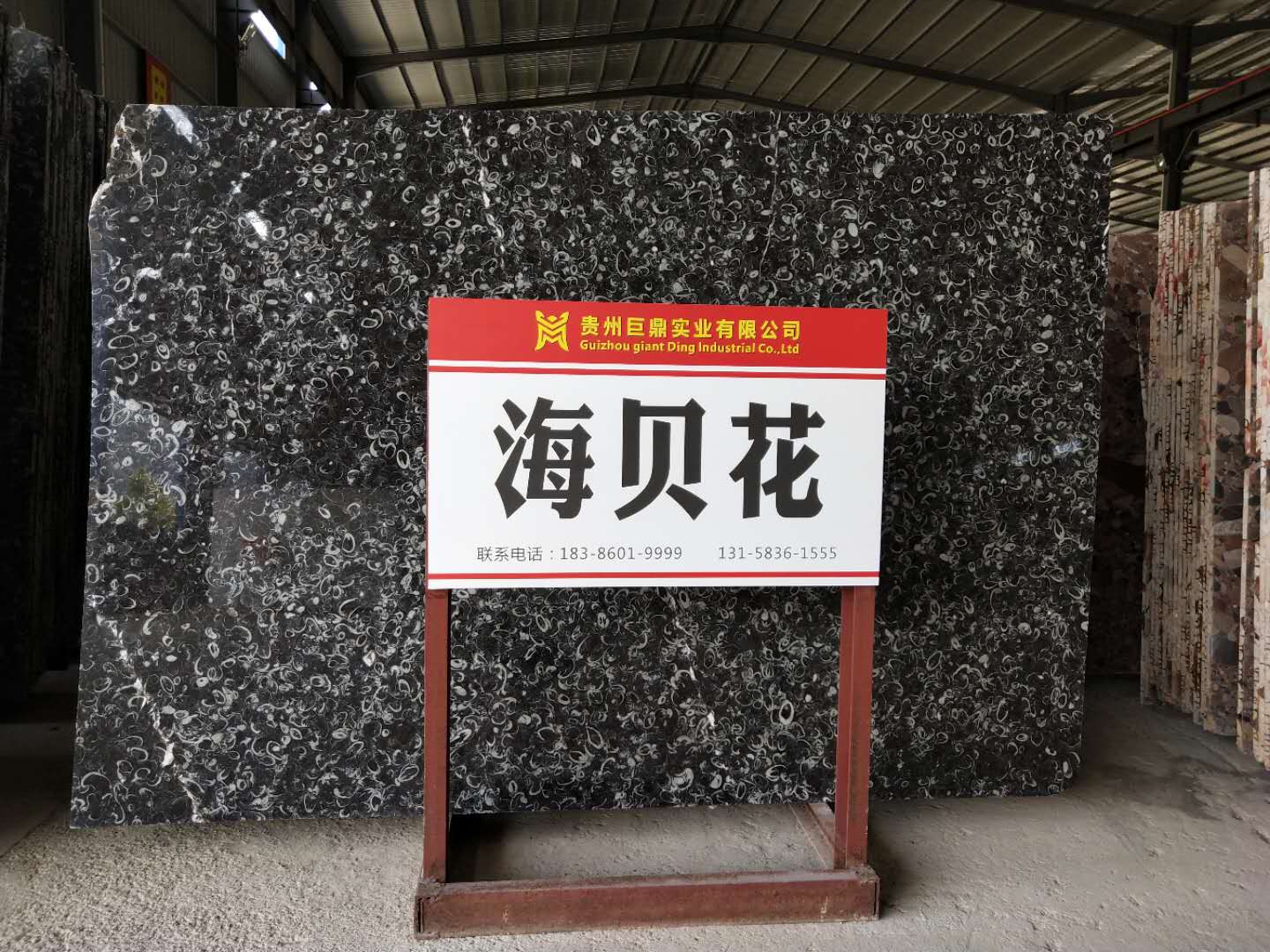海貝花(huā)